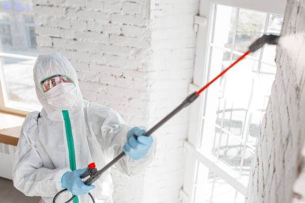 Best Asbestos and Lead Testing During Mold Inspection  in Wilkesboro, NC