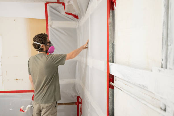 Mold Remediation for Rental Properties in Wilkesboro, NC