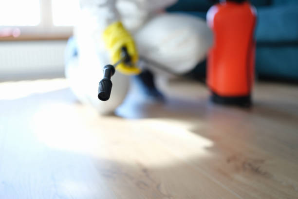 Best Emergency Mold Remediation  in Wilkesboro, NC